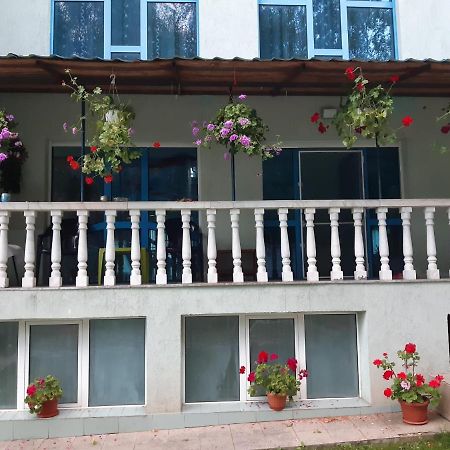 Casa Albastra Hotel Drumu Carului ภายนอก รูปภาพ