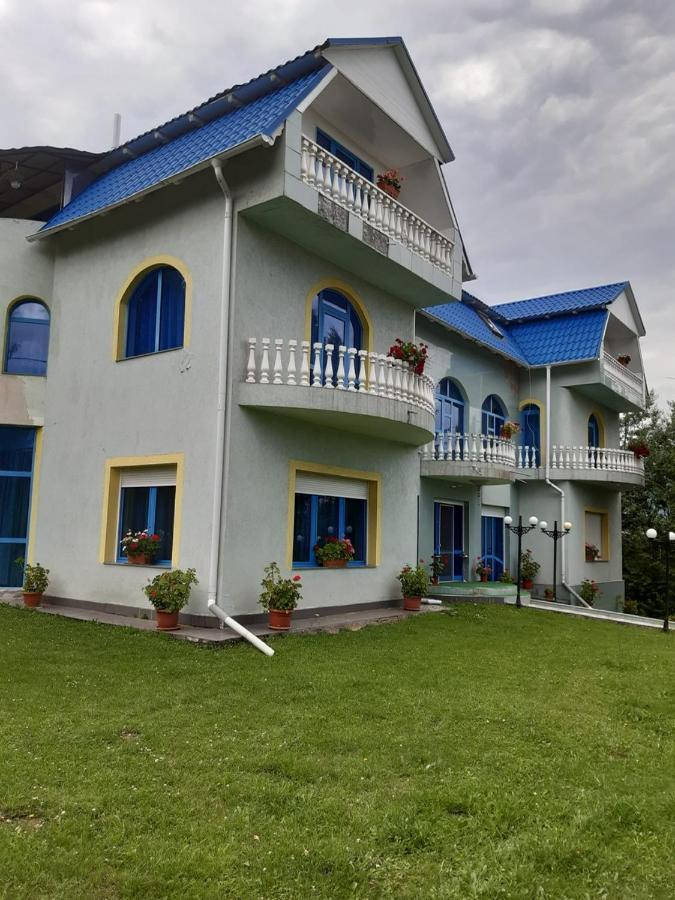 Casa Albastra Hotel Drumu Carului ภายนอก รูปภาพ