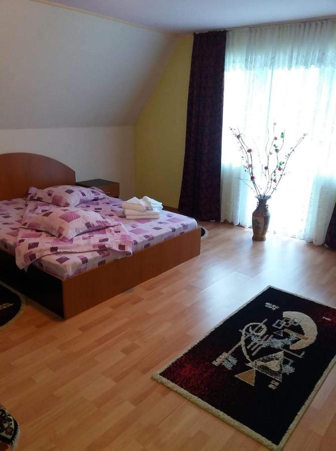 Casa Albastra Hotel Drumu Carului ภายนอก รูปภาพ
