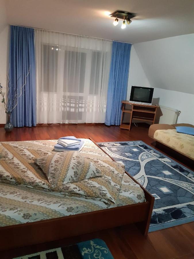 Casa Albastra Hotel Drumu Carului ภายนอก รูปภาพ