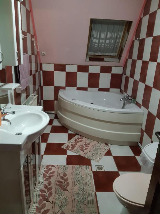 Casa Albastra Hotel Drumu Carului ภายนอก รูปภาพ