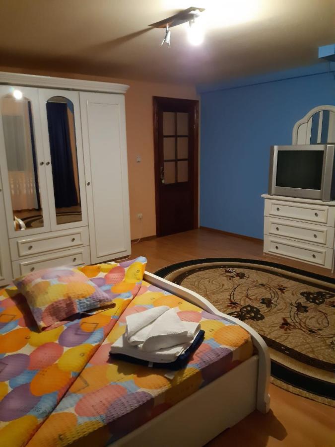 Casa Albastra Hotel Drumu Carului ภายนอก รูปภาพ