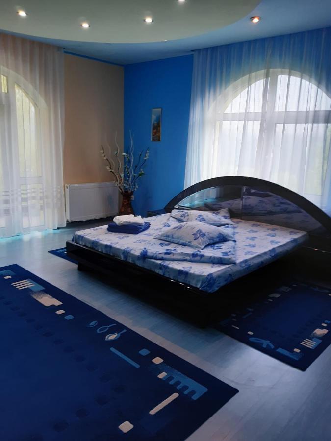 Casa Albastra Hotel Drumu Carului ภายนอก รูปภาพ