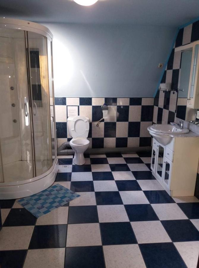 Casa Albastra Hotel Drumu Carului ภายนอก รูปภาพ