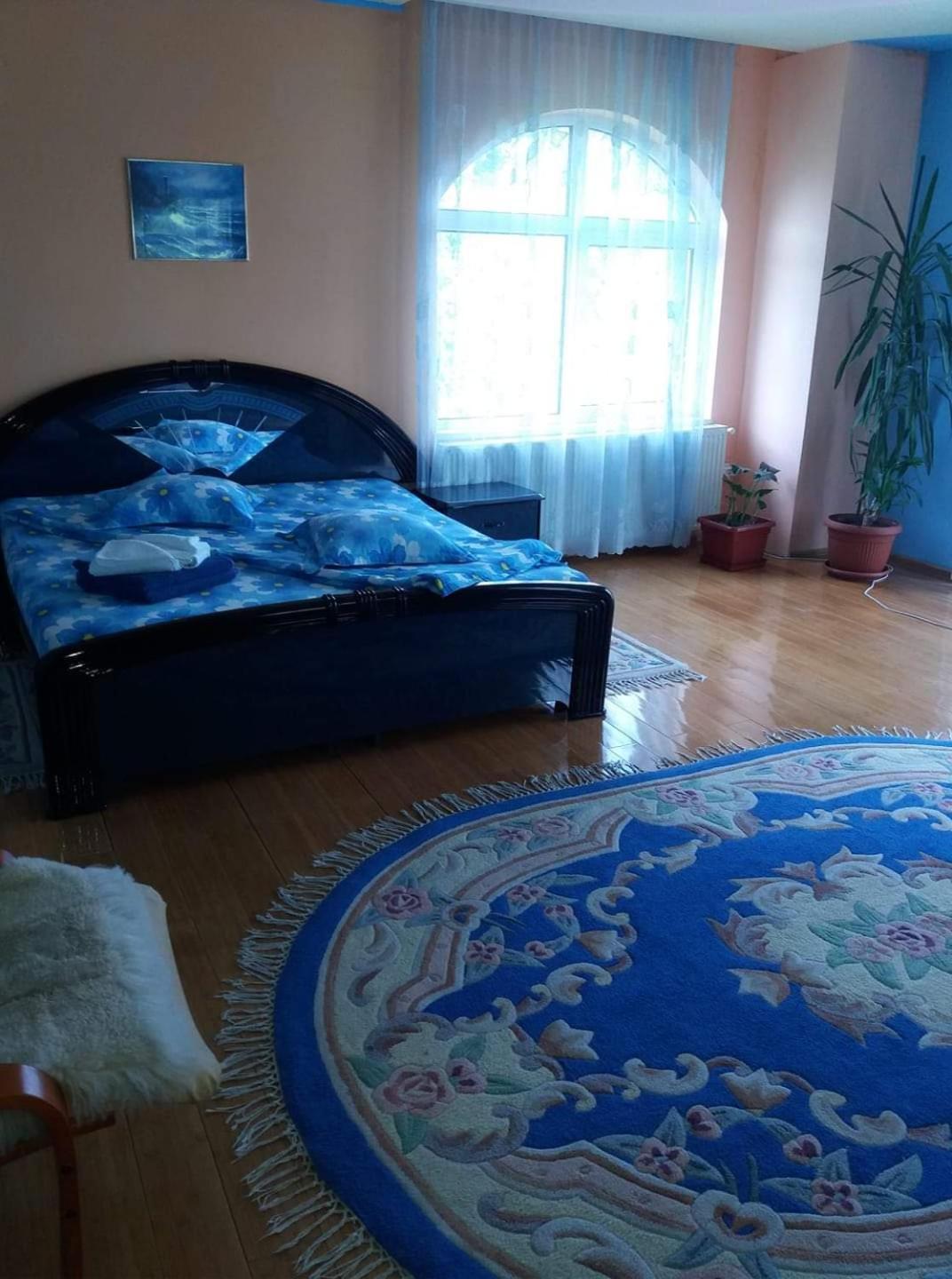 Casa Albastra Hotel Drumu Carului ห้อง รูปภาพ